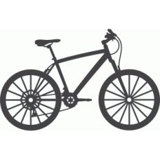 bike boy