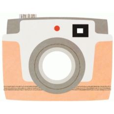 sv camera