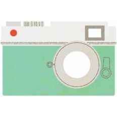 sv camera