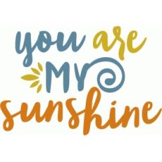 you are my sunshine phrase
