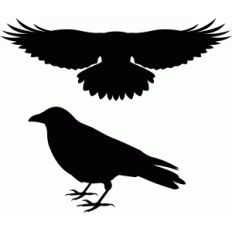 crow set