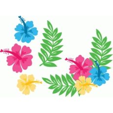 hibiscus flowers