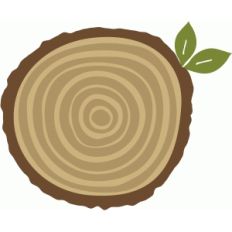 tree stump rings