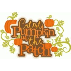cutest pumpkin in the patch title