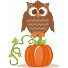 fall owl