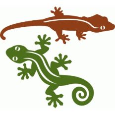 gecko set