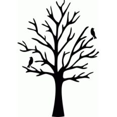 tree birds