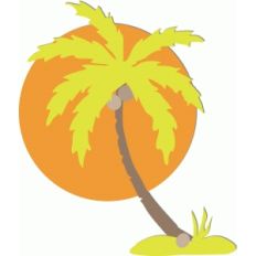 palm tree