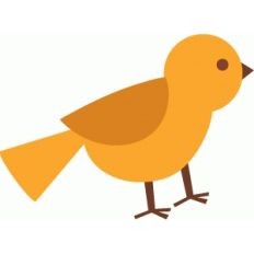 bird