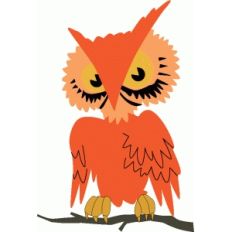 owl
