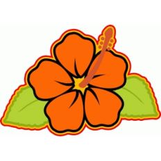 tropical flower