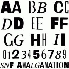 snf amalgamation