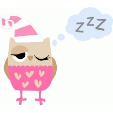sleepy owl