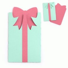 present gift card envelope