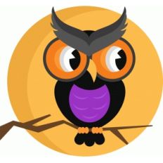 halloween owl