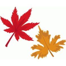 fall leaves
