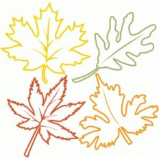 outlined leaves