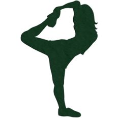 cheerleader - scorpion