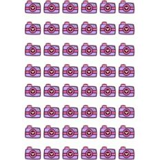heart cameras planner stickers