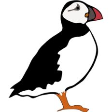 puffin