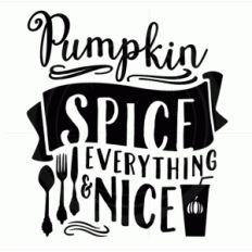 pumpkin spice and everything nice phrase
