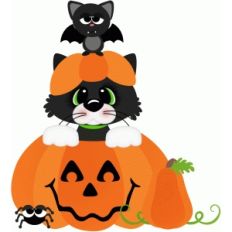 cat w bat and pumpkins