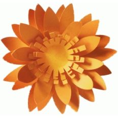 3d marigold flower