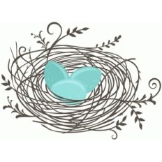 bird nest with eggs