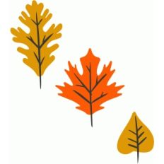 autumn leaves