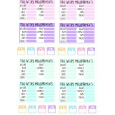 weekly measurements and weigh ins planner stickers