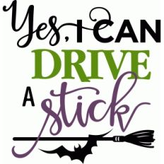 yes i can drive a stick phrase