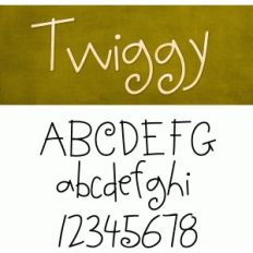scrap twiggy