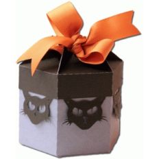 6 sided cat carton