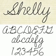 ld shelly script