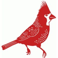 cardinal