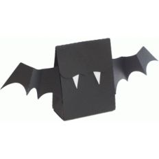 bat bag