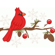 cardinal
