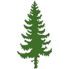 pine tree silhouette