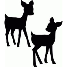 baby deer