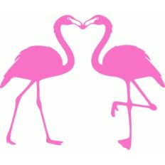 kissing flamingos