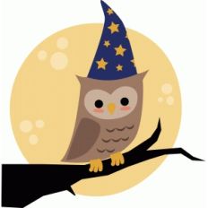 wizard owl