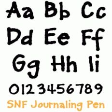 snf journaling pen