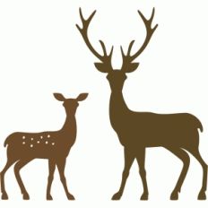 two deer