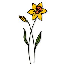Daffodil Birth Flower