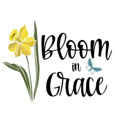 Daffodil Bloom In Grace