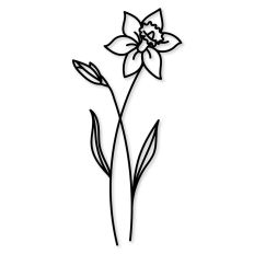 Daffodil Outline Birth Flower