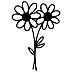 Two Daisies