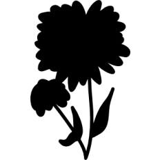 Daisy Flower Silhouette