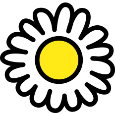 Daisy Flower