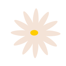 Daisy Flower